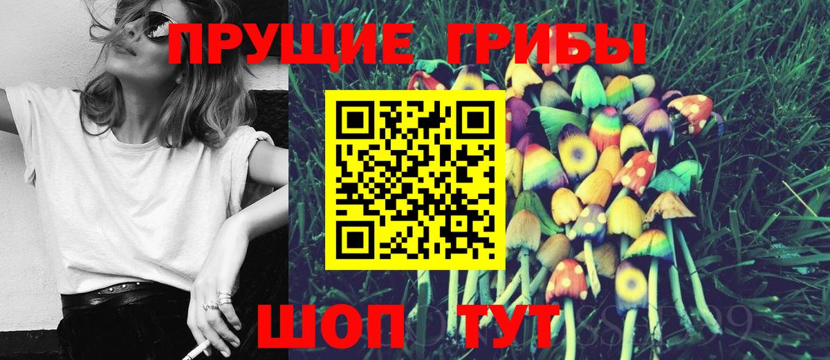 Псилоцибиновые грибы Psilocybe  Галлюциногенные грибы GOLDEN TEACHER  Вход с VPN  Аксай 