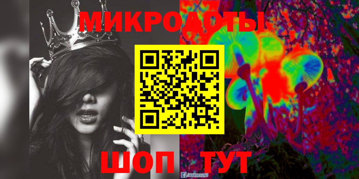 Псилоцибиновые грибы Psilocybine cubensis Аксай
